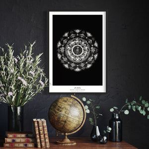 cymatics photo print B/W - 18.8Hz - Journey of Curiosity