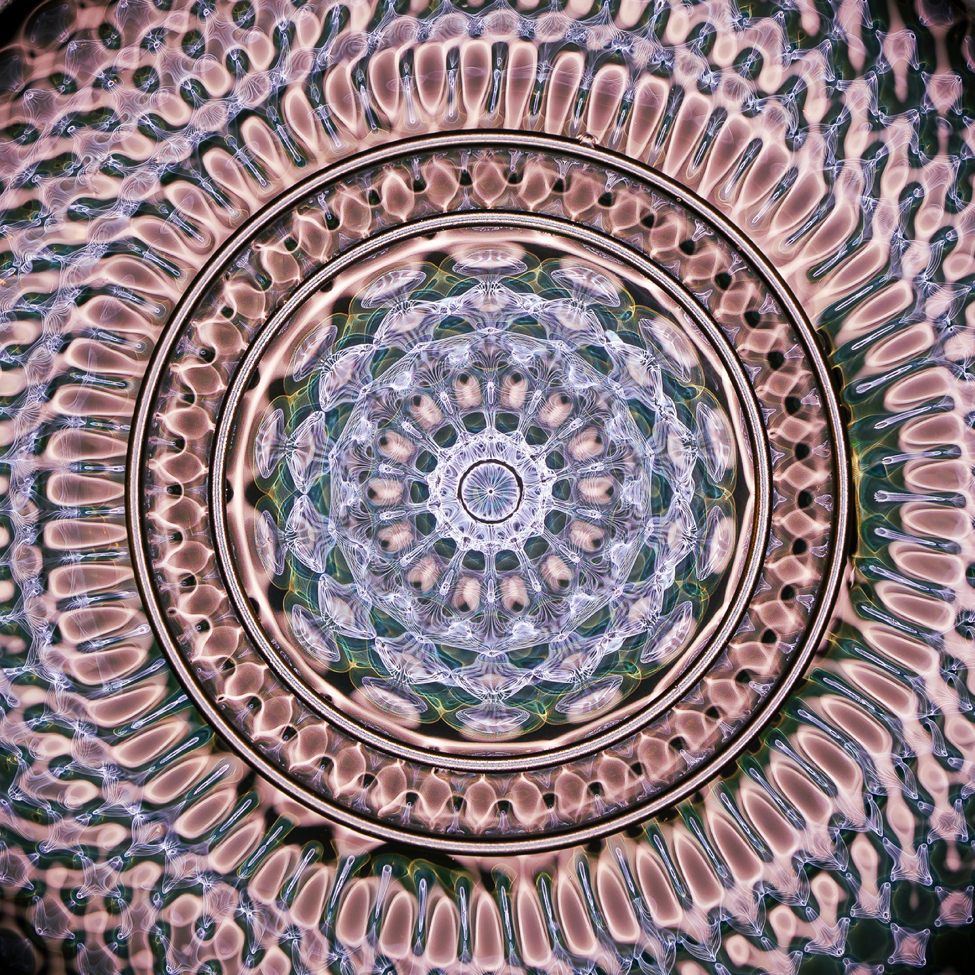 close up cymatics water photography by jacob lee adlington journey of curiosity