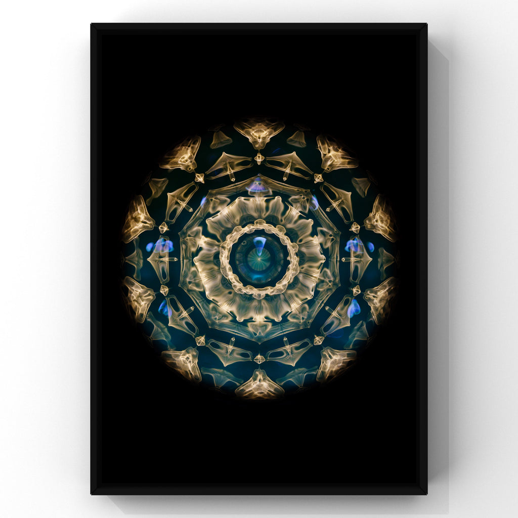 cymatics photo print 18.8Hz (Note D) - Journey of Curiosity