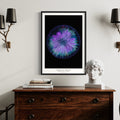 cymatics photo print Faraday Waves - Journey of Curiosity