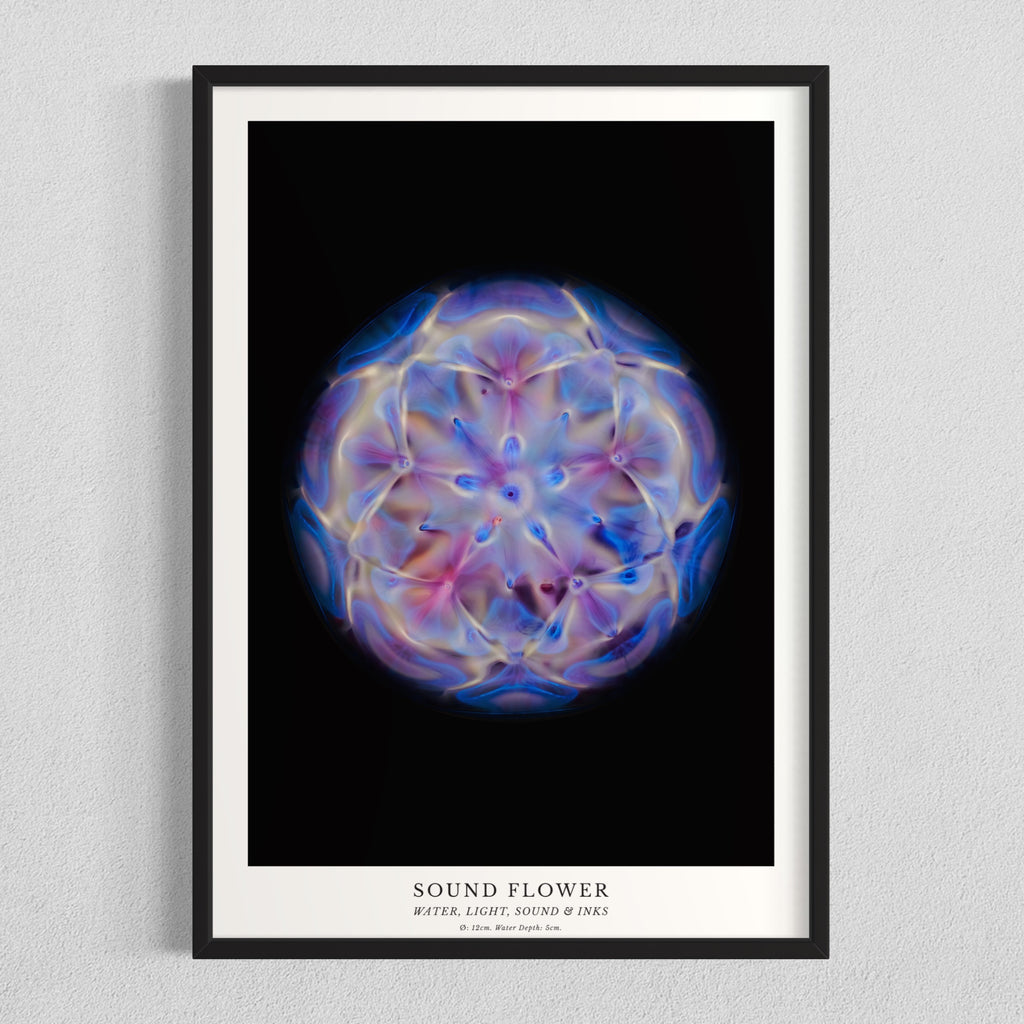 cymatics photo print Sound Flower - Journey of Curiosity