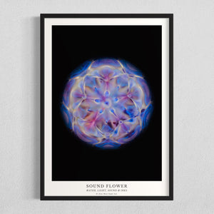 cymatics photo print Sound Flower - Journey of Curiosity