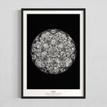 cymatics photo print B/W - 41Hz - Journey of Curiosity