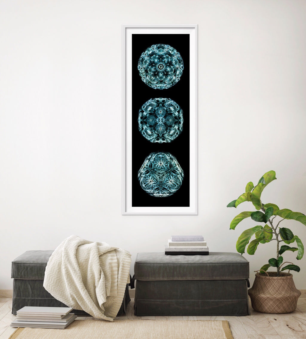 cymatics visible sound photography art print by Jacob Lee Adlington, journey of curiosity