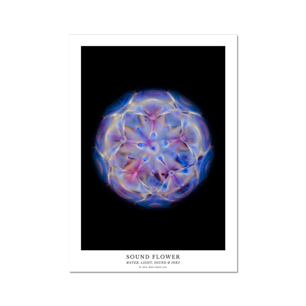 cymatics photo print Sound Flower - Journey of Curiosity