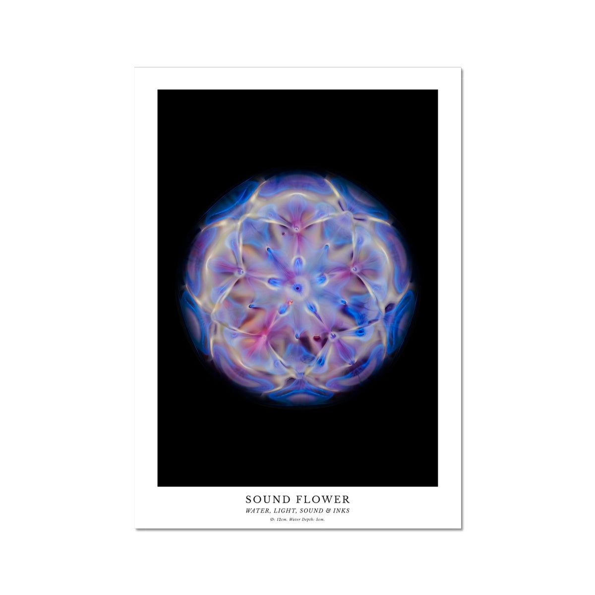 cymatics photo print Sound Flower - Journey of Curiosity