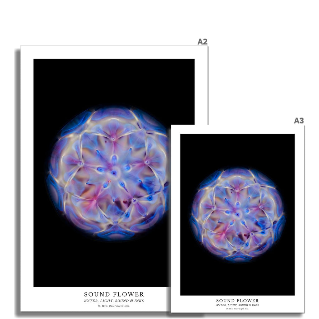 cymatics photo print Sound Flower - Journey of Curiosity