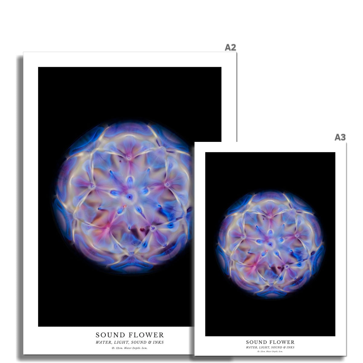 cymatics photo print Sound Flower - Journey of Curiosity
